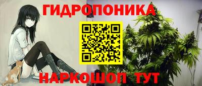 гашиш Гай