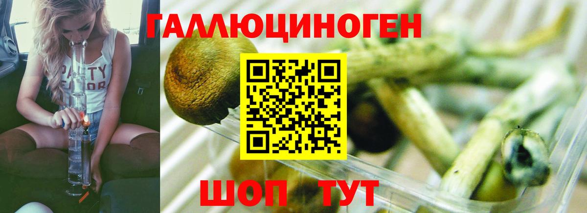 закладки  Галлюциногенные грибы прущие грибы  Протвино  Вход с VPN  Галлюциногенные грибы MAGIC MUSHROOMS 